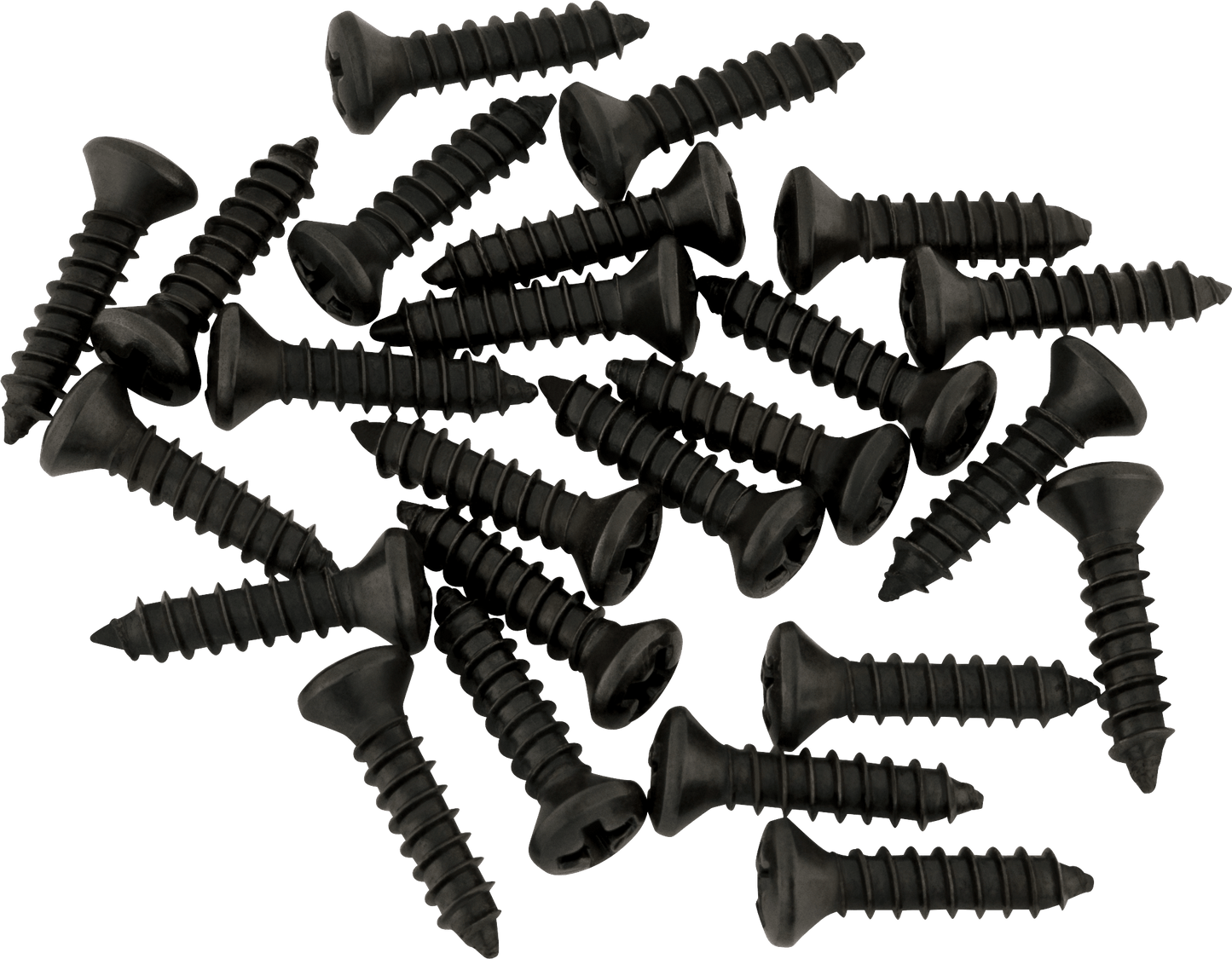 Pickguard - Control Plate Mounting Screws (24)