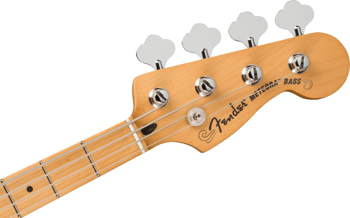 Player Plus Active Meteora® Bass