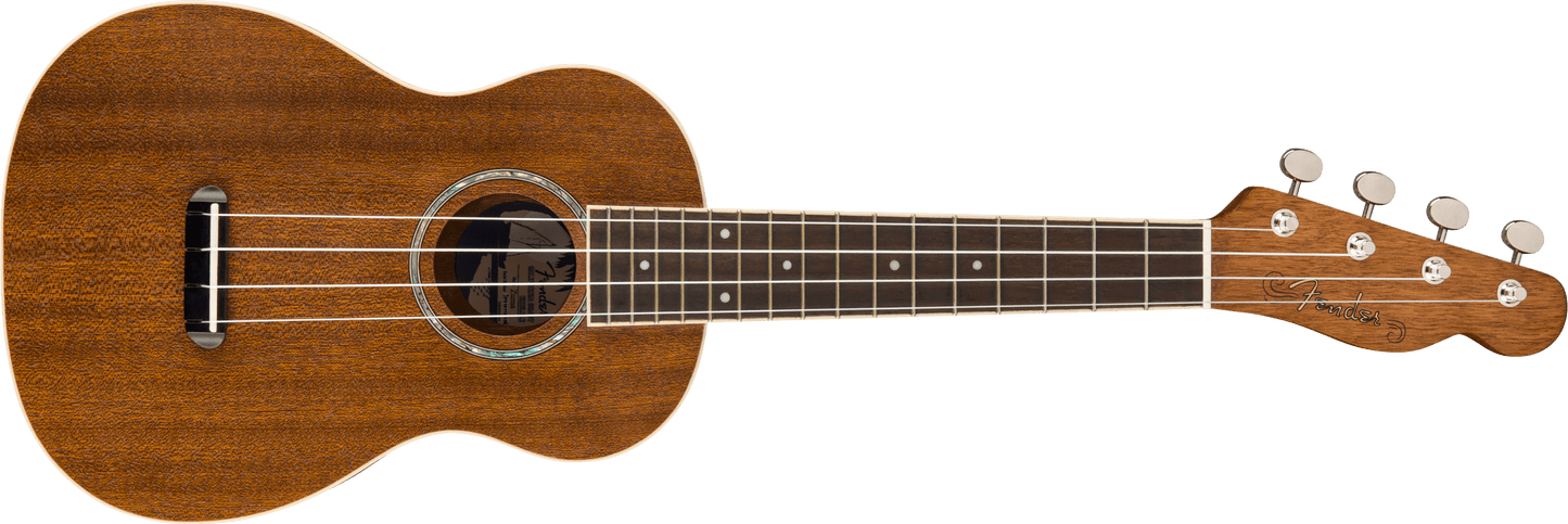 Zuma Concert Ukulele