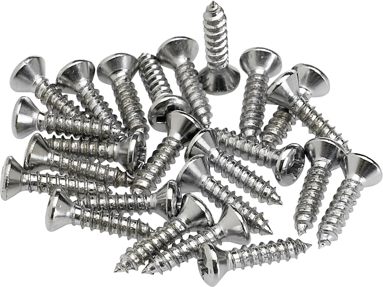 Pickguard - Control Plate Mounting Screws (24)